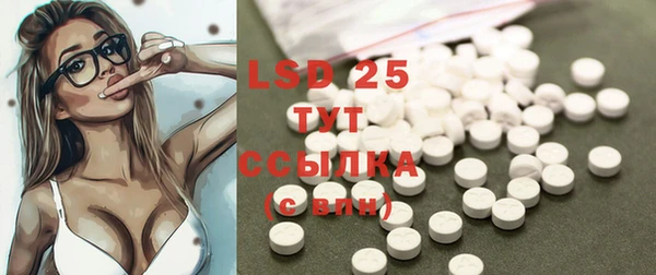прущие грибы Абдулино