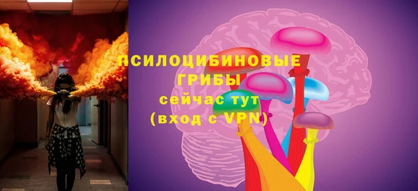 прущие грибы Абдулино