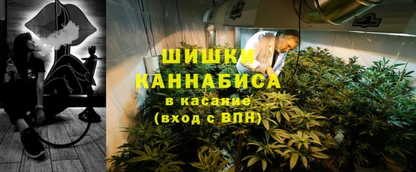 прущие грибы Абдулино