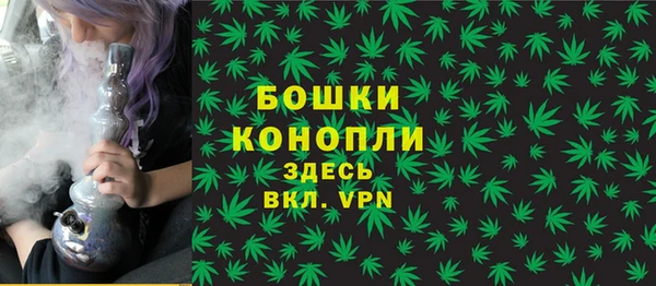 прущие грибы Абдулино