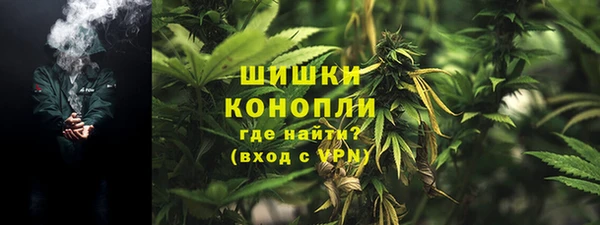 прущие грибы Абдулино
